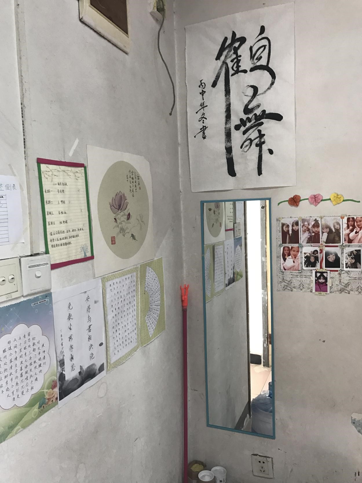 1497251137117382.jpg 3.jpg