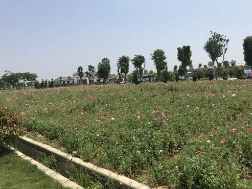 1526024596534110.jpg IMG_3737