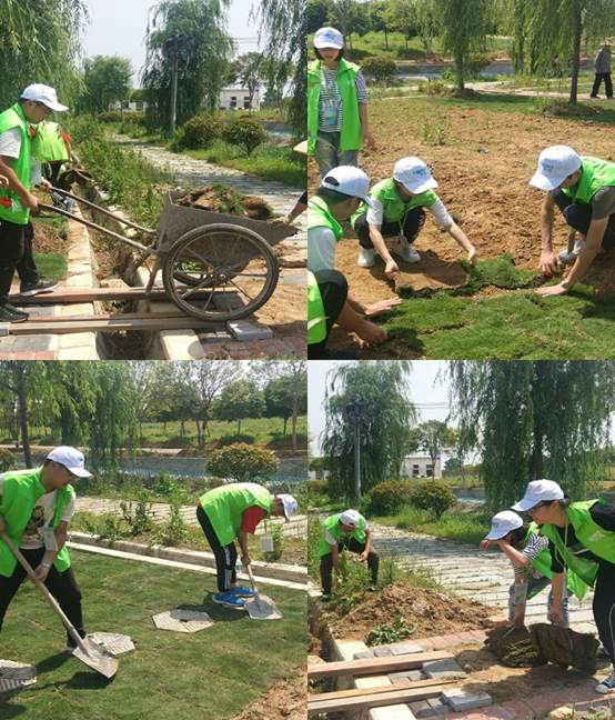 1526024596106654.jpg TIM图片20180511110509