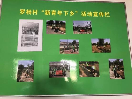 1528093987627317.jpg IMG_4164