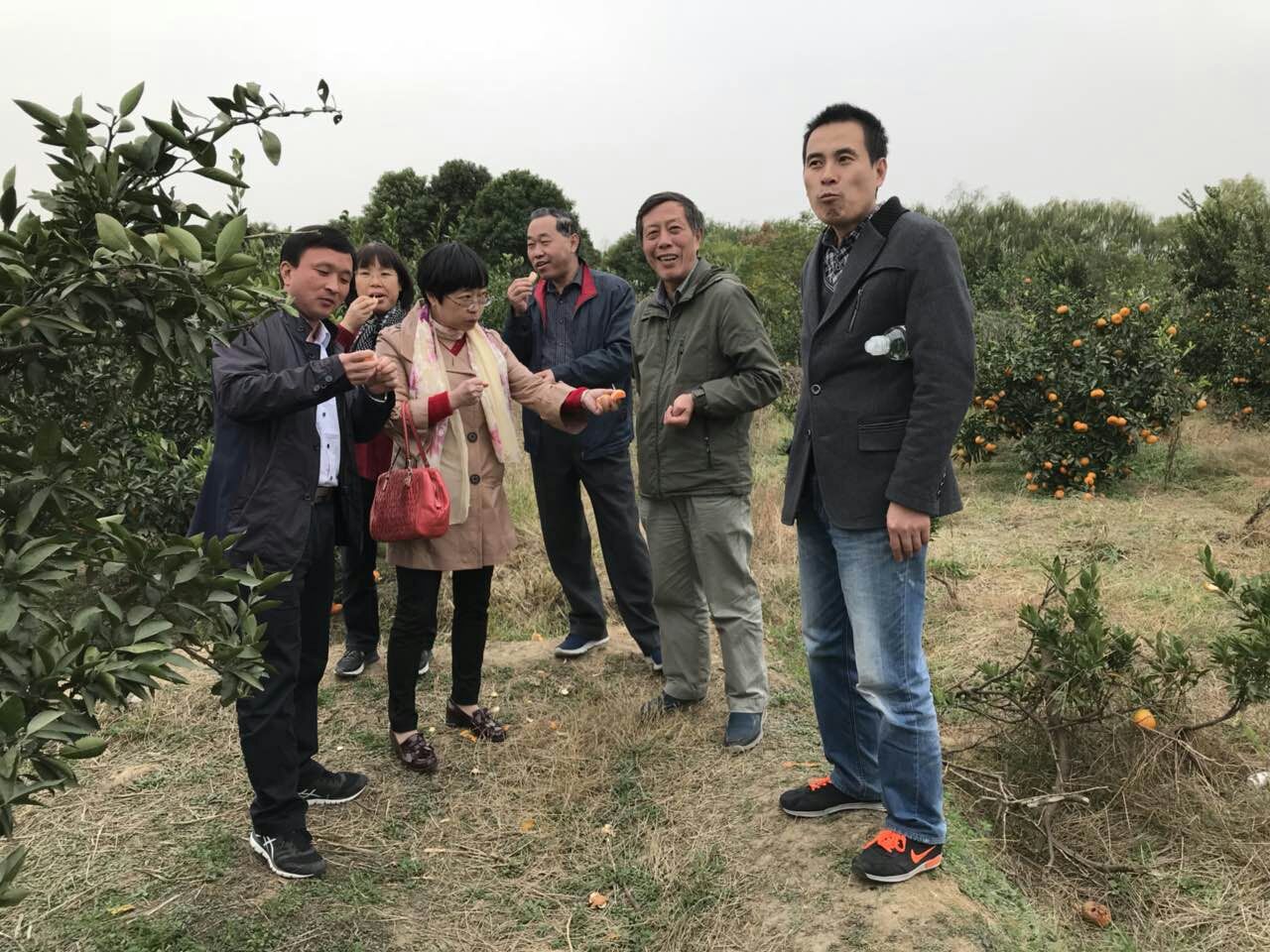 1512031027101636.jpg 1512031027101636.jpg