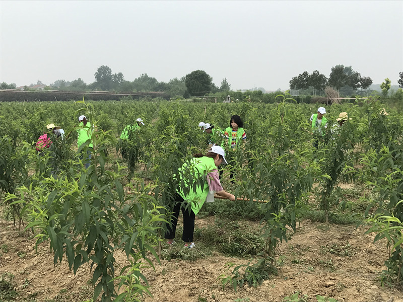 1498463745497705.jpg 2_副本.jpg